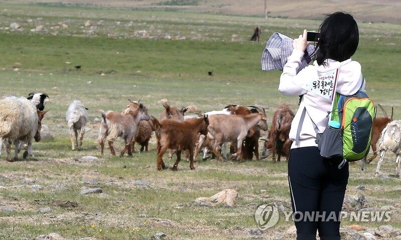 [제주소식] 제주올레 자매의 길, 몽골올레 완주여행 참가자 모집
