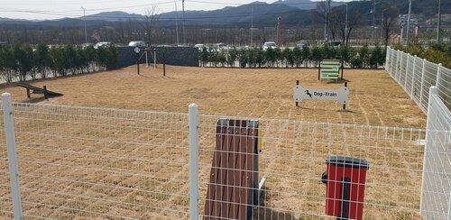 춘천시 반려견 놀이터 인기…이동식 놀이터 첫 운영