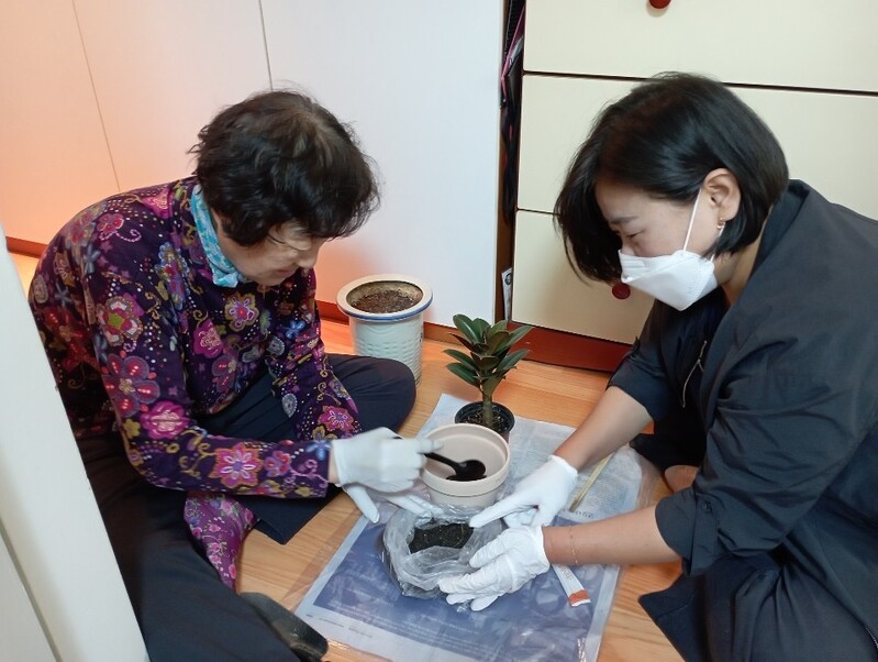 고양시 독거노인 우울증 반려 식물 치유 3년째 성과 양호