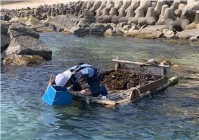 강릉시 '창경바리 전통어업' 국가중요어업유산 지정 추진