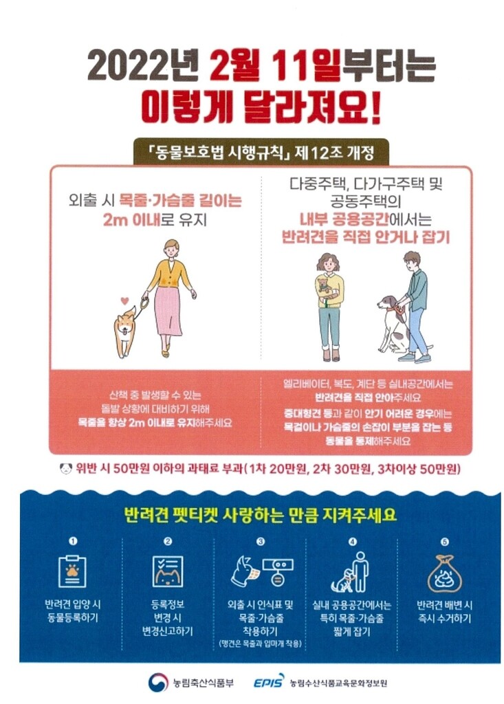 "펫티켓 지켜주세요"…양양군, 개 물림 사고 예방 당부