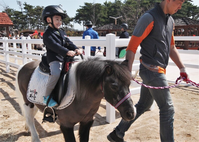 부산경남경마공원, '말 테마파크' 25일부터 전면 개방