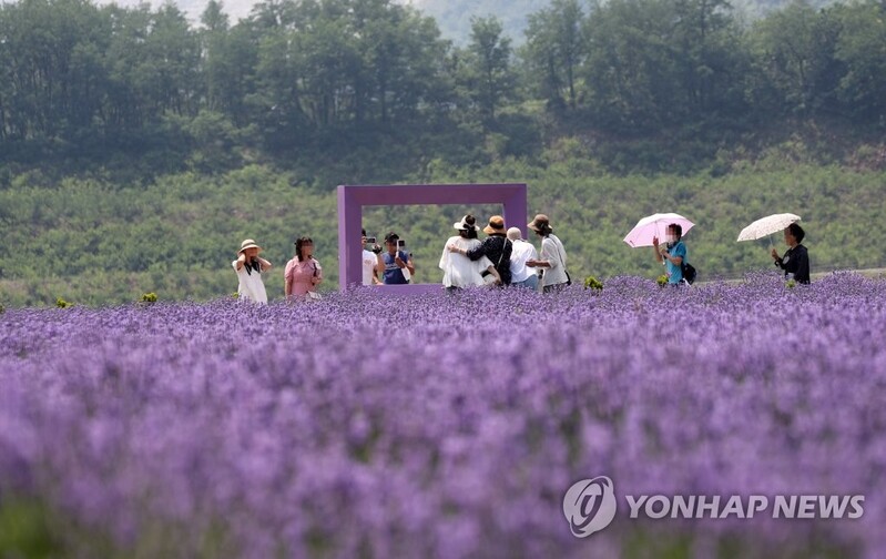 초여름 무더위에 산·바다로…전국 명소 나들이객 발길
