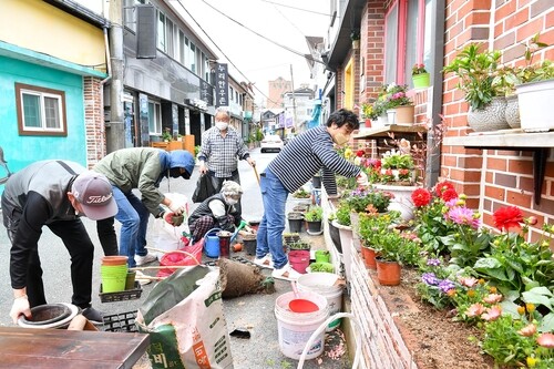 '아름다운 야생화 가득' 정선 골목길 정원박람회 23일 개막