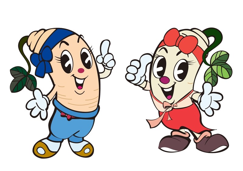 '더덕꽃이 피었습니다' 횡성 더덕축제 8월 26일∼29일 개최