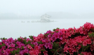 [K-Geography ] Fog fills Gyeongpo Lake