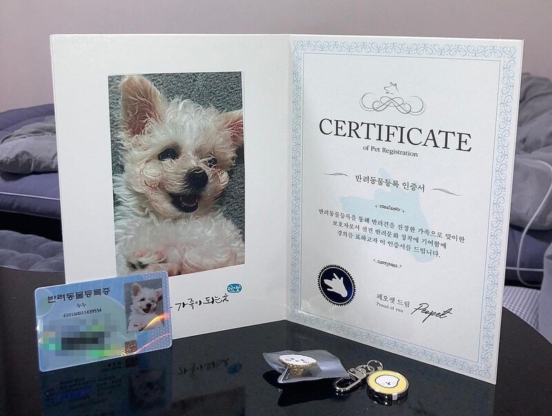 이마트24, 반려동물 등록 대행 서비스 도입