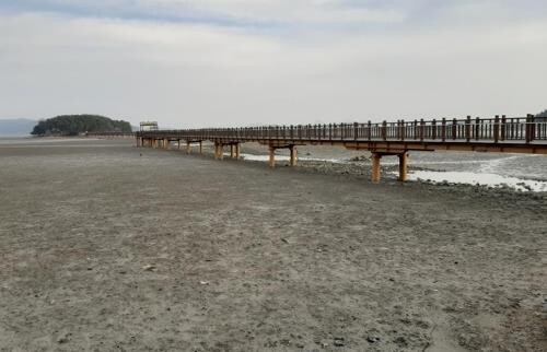 전남도, 갯벌습지정원·자연유산관리센터 유치 추진