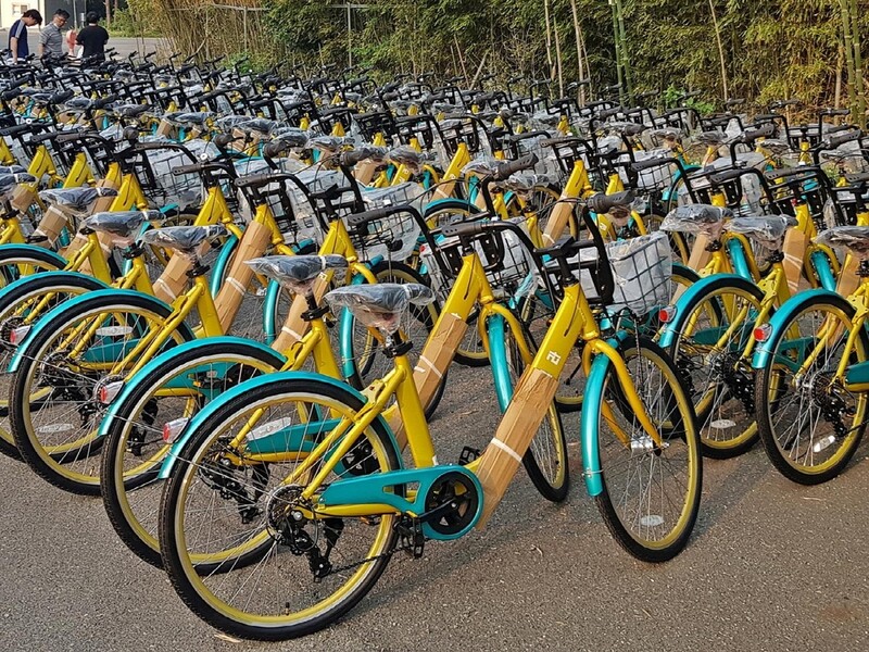 경주시 공영자전거 '타실라' 25일부터 운영…시범기간 무료