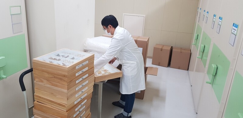 조선왕조실록처럼 국가생물표본 1만점 분산 보관한다