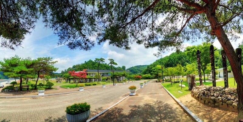 '박물관 구경 편리하게'…안동시립박물관, 전시물 소개 앱 출시