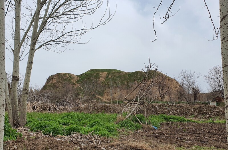 한국문화재재단, 우즈벡 문화유산 보존·발굴 지원