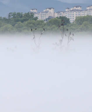 [K-Geography] Walking through fog