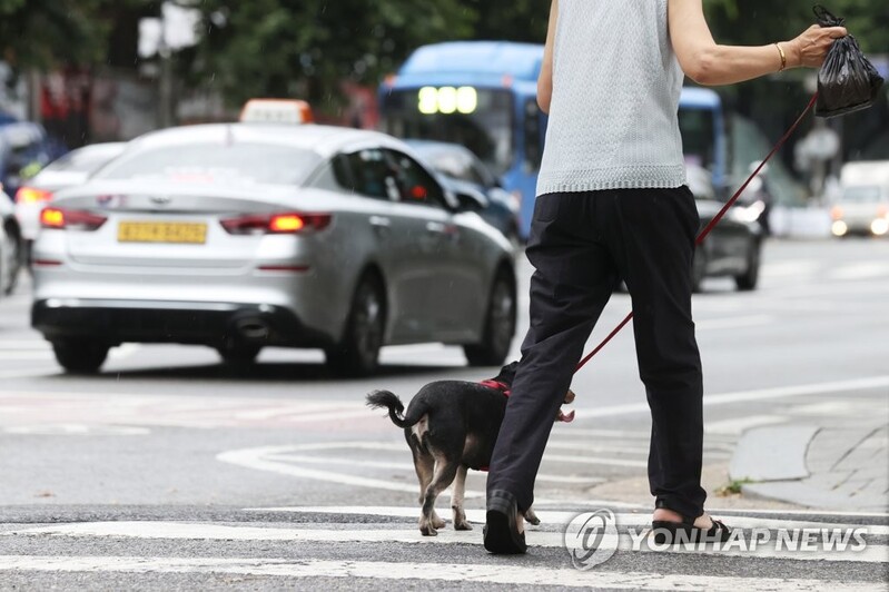 반려동물 분변·유기문제, 국민 아이디어로 해결