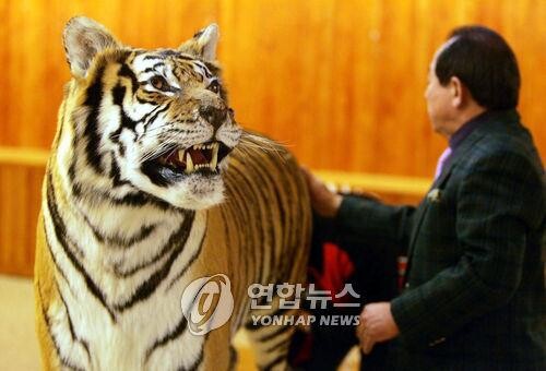 국립수목원, 먹이사슬로 구성한 동물 박제 20종 전시