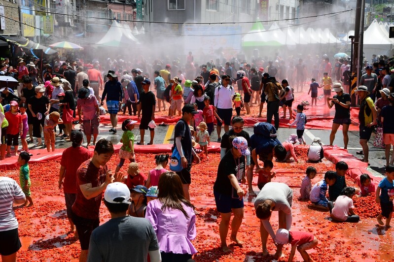 '3년 만에 대면으로' 횡성 둔내고랭지토마토축제 내달 개최