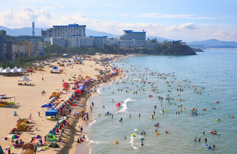 삼척 9개 해수욕장 13일 개장…40일간 운영