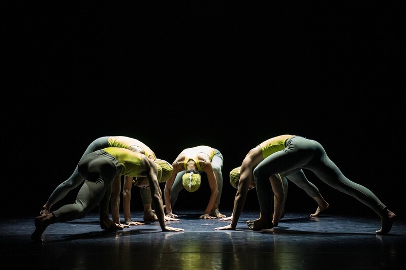 "춤은 하나의 언어"…앰비규어스댄스컴퍼니 '무교육적 댄스'