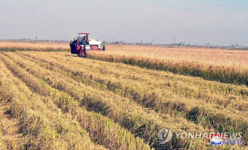 Over 40 pct of N. Koreans undernourished: U.N. report