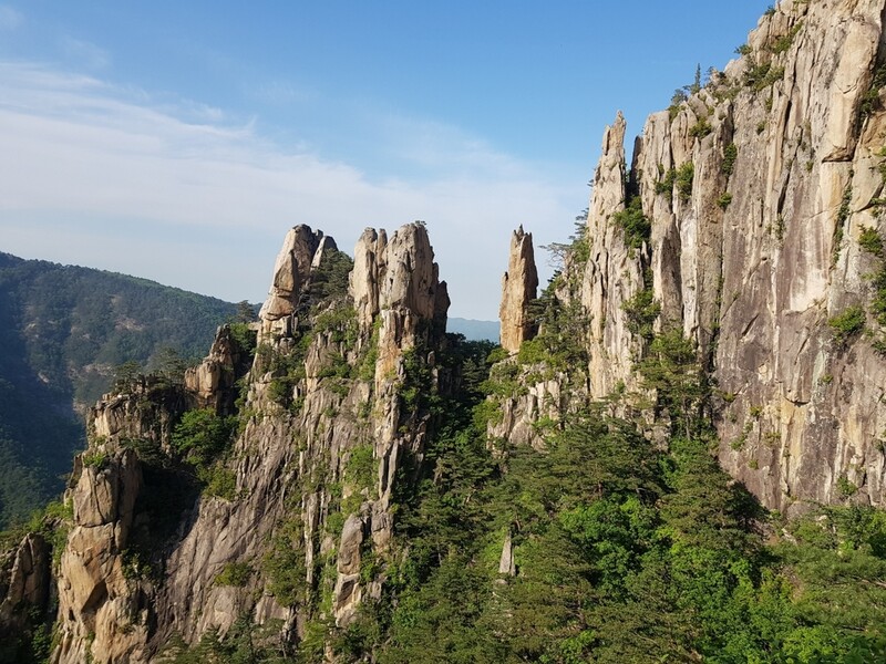 시원한 그늘에 물놀이까지…산림청, 국유림 명품숲 5곳 추천