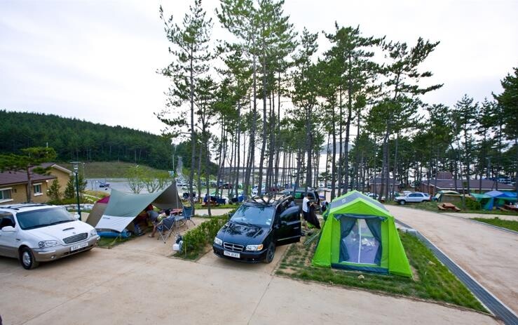 "별이 쏟아지는 밤…땅끝 해남으로 캠핑 오세요"