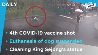 Prosecution suspends euthanasia of dog that mauled 8-year-old boy/ King Sejong statue to be cleaned