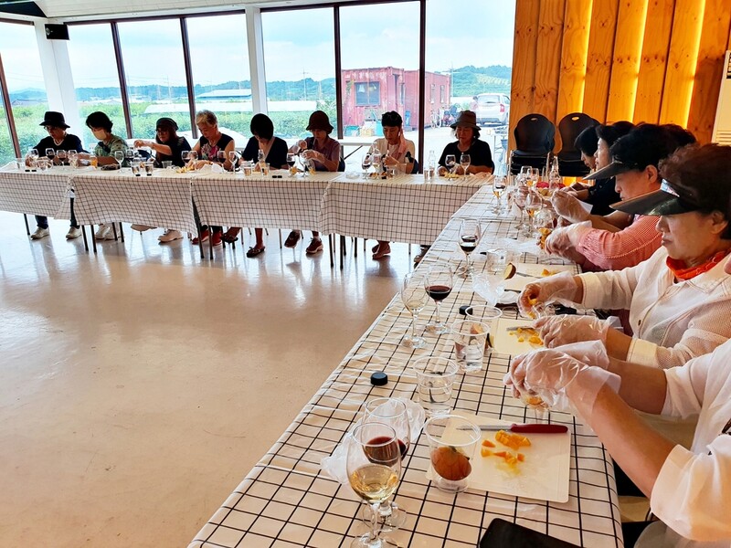 나만의 와인을 만들어요…영천시 와인 제조 체험 관광상품 운영