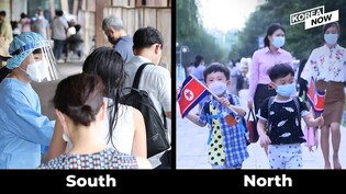 Stark Contrast between new COVID cases in two Koreas
