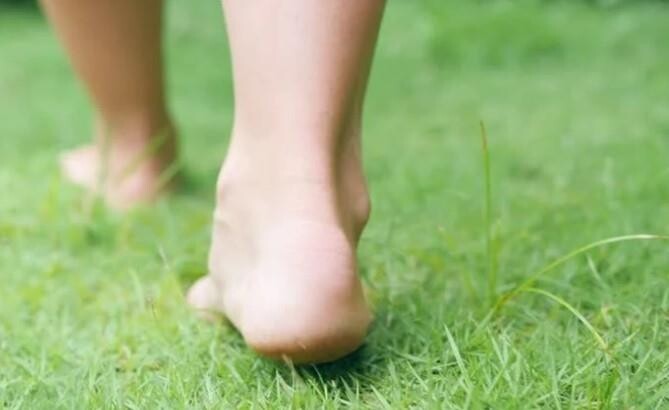 [골프소식] 신라CC, 여름밤 잔디밟기 체험 행사