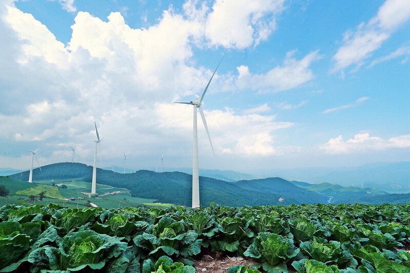 태백시, 23일부터 매봉산 바람의 언덕 셔틀버스 운행