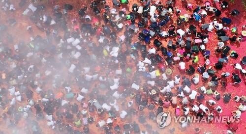 '황금 반지를 찾아라' 화천군 토마토축제 3년 만에 재개