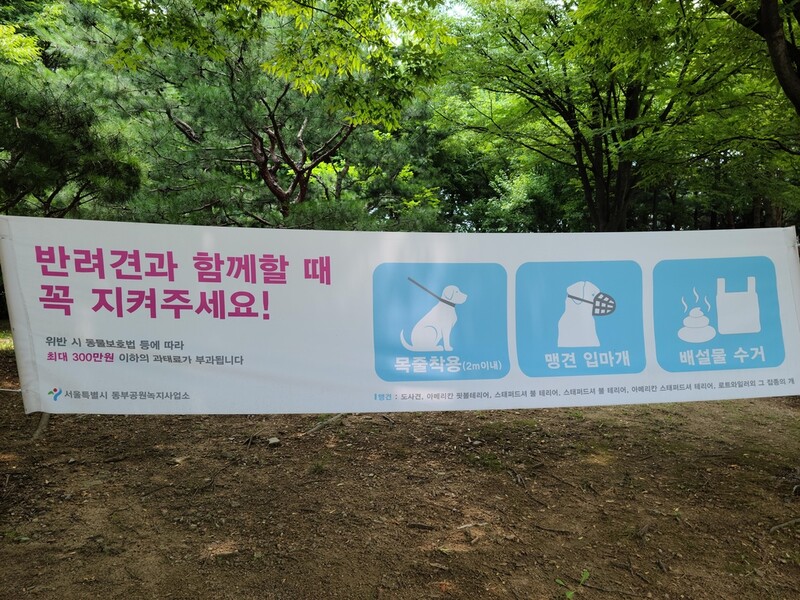 매년 2천건 개물림 사고…견주 잘못 시 과실치상죄