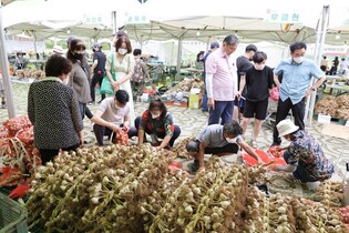 Danyang Garlic Festival held for the first time in 3 years records 280 million won worth of sales