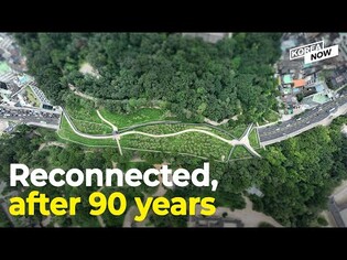 Changgyeonggung, Jongmyo reconnected in 90 years