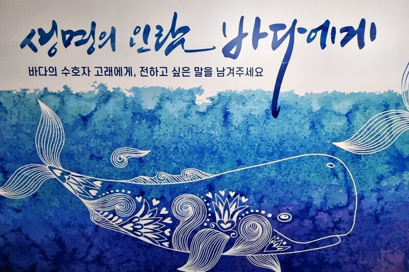 [태백소식] 대한민국 해양 사진대전 수상작 전시회