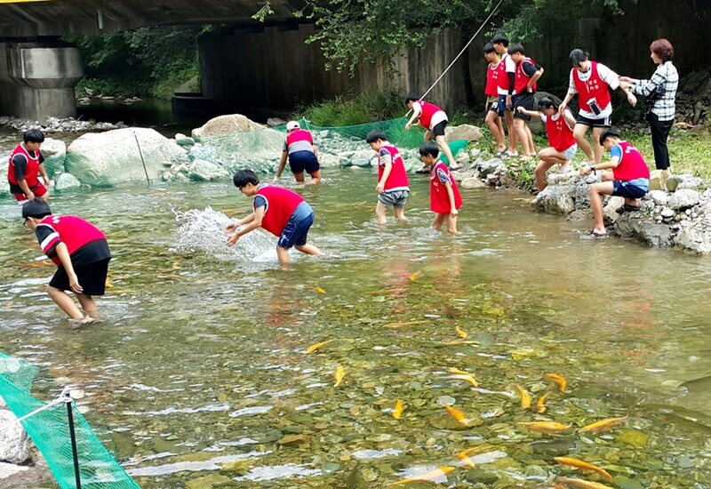 "시원한 계곡에서 맨손으로 송어 잡아 보세요"