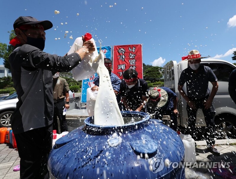 정부 "낙농육우협회와 협의 중단"…우윳값 제도개편 '제동'(종합)
