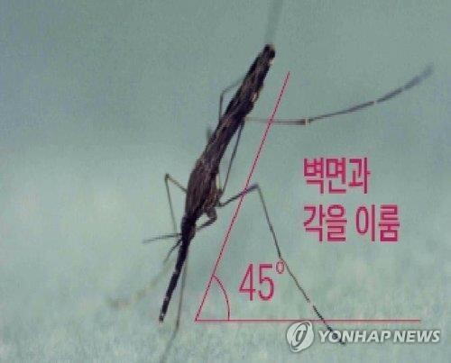 S. Korea reports 193 cases of malaria so far this year