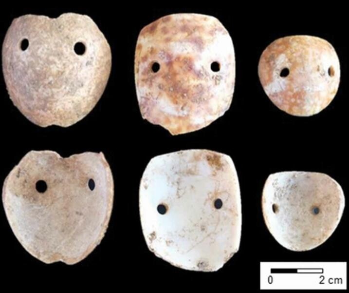 약 3천500년 전 바닷속 문어 유혹하던 개오지 껍데기 '미끼'