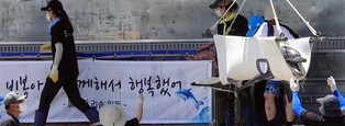 [Moment to Focus] "Woo Young-Woo" dolphin released into sea pen