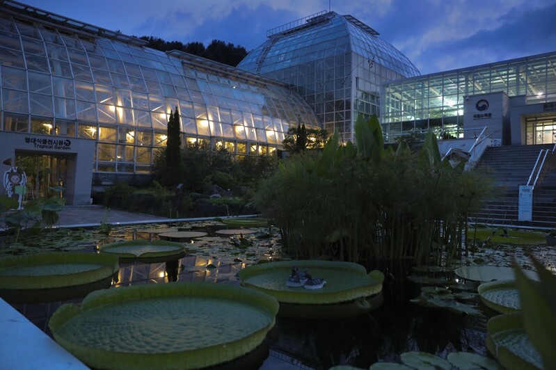 국립수목원 23∼24일 '여름밤! 광릉숲' 특별행사