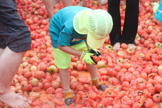 [K-Geography] Tomato festival to find gold ring