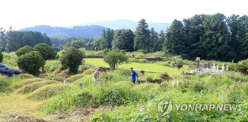 제주소방본부 "추석 전 벌초 시기 안전사고 주의하세요"