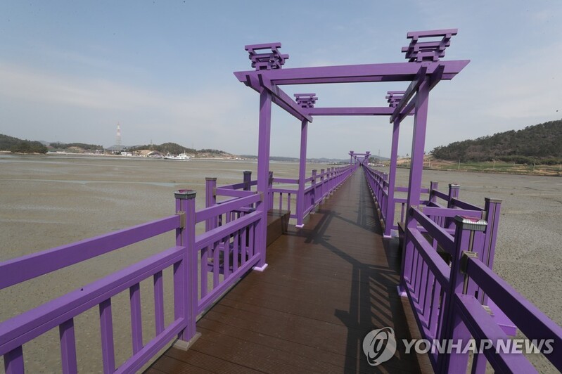 신안 시티투어버스 13일 운행…송정·목포역-퍼플섬 연계