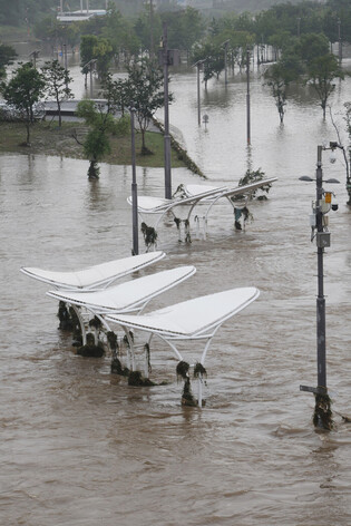 [Moment to Focus] Heavy rain