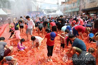 Hoengseong's 'Dunnae Tomato Festival' to be held from tomorrow as scheduled