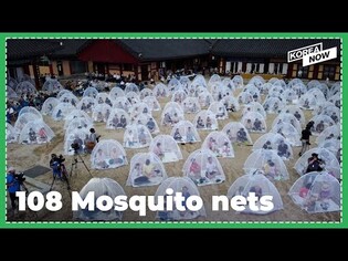 Concert under mosquito nets