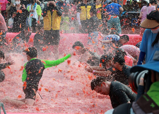 [K-Geography] Tomato festival