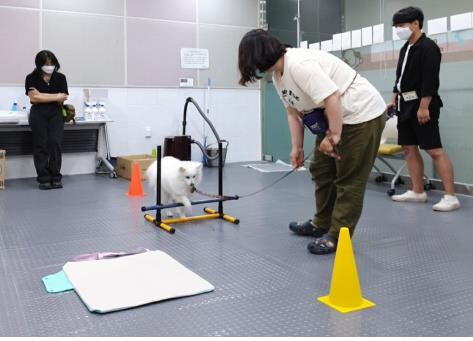 [게시판] '서울 반려동물 시민학교' 하반기 수강생 모집
