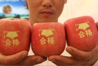 [길따라 멋따라] 아오리 사과 본고장 아오모리는 '아오리둥절'